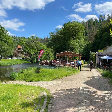 Pension Sternschnuppe, Treseburg Harz, Unmittelbar Am Wasser Thale Zewnętrze zdjęcie