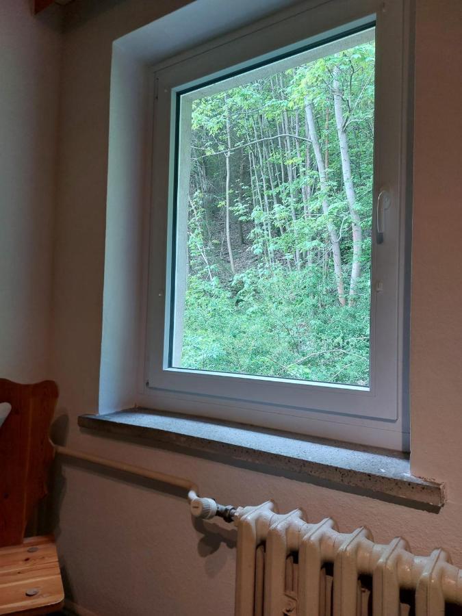 Pension Sternschnuppe, Treseburg Harz, Unmittelbar Am Wasser Thale Zewnętrze zdjęcie