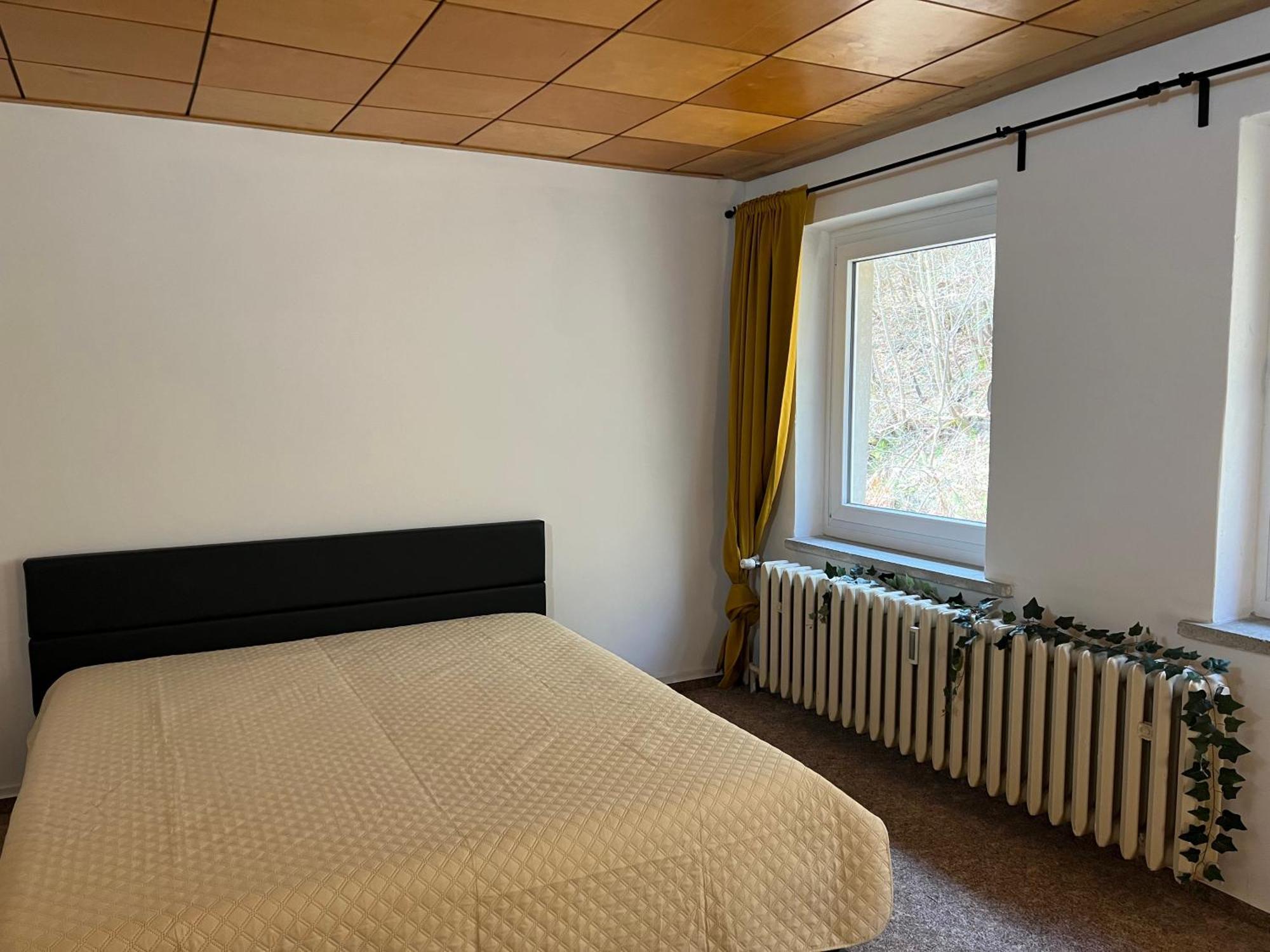 Pension Sternschnuppe, Treseburg Harz, Unmittelbar Am Wasser Thale Zewnętrze zdjęcie